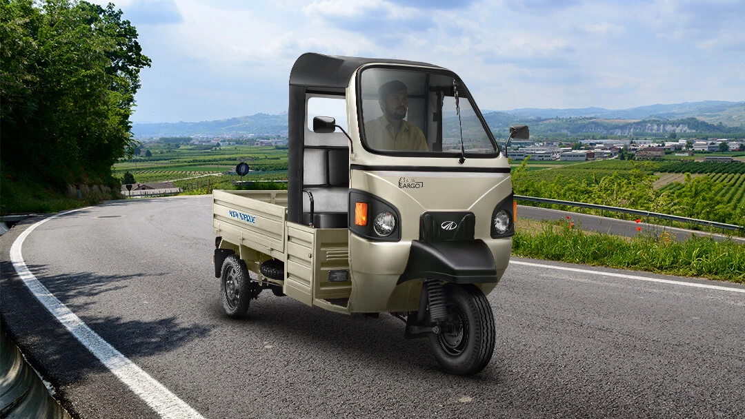 E-Alfa Cargo Delivery